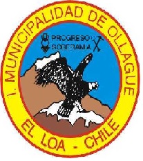 Escudo de Ollague