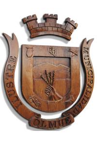 Escudo de Olmue