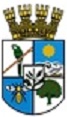 Escudo de Requinoa