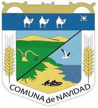 Escudo de Navidad