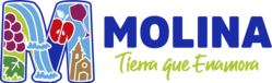 Escudo de Molina