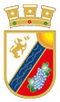 Escudo de San Javier