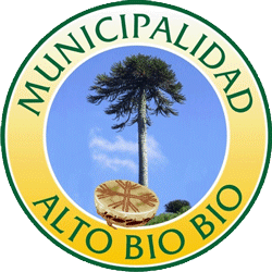 Escudo de Alto Biobío