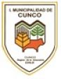 Escudo de Cunco