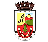 Escudo de Lumaco