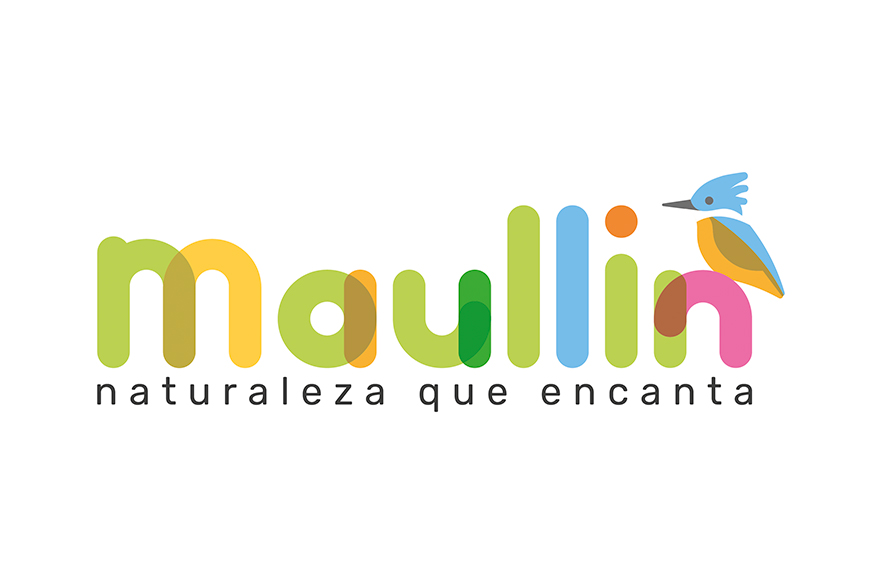 Escudo de Maullin